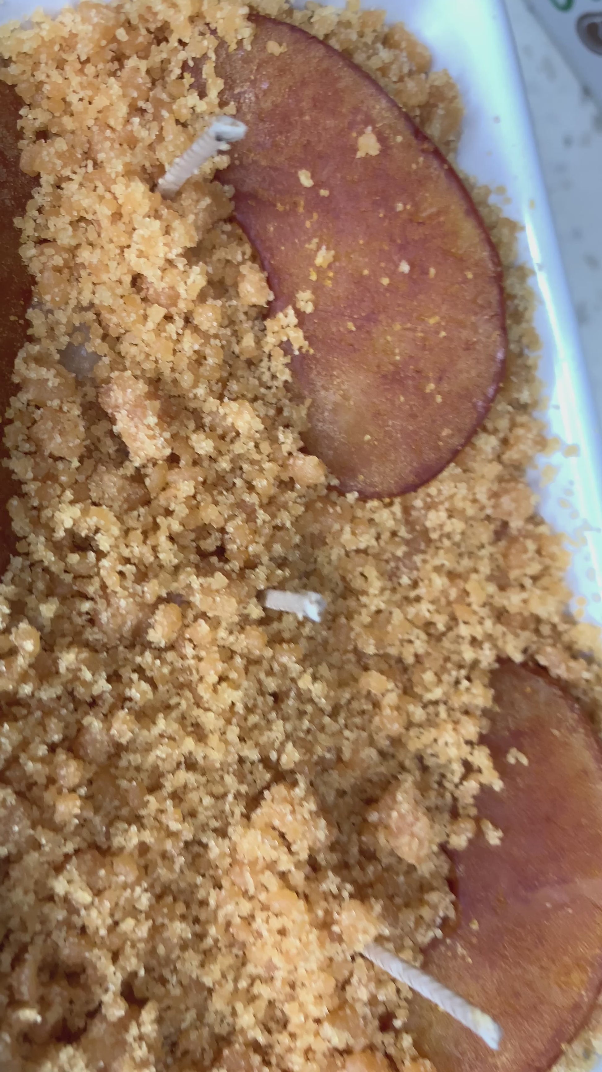 Apple cobbler
